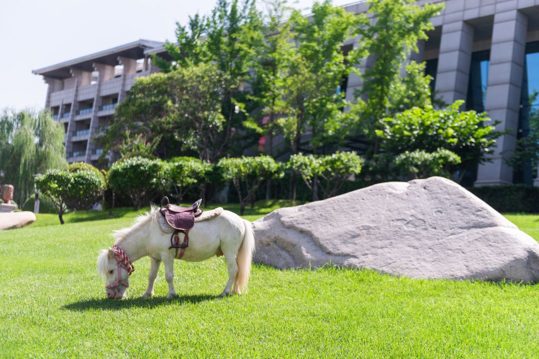 凯发·k8(中国游)官方网站