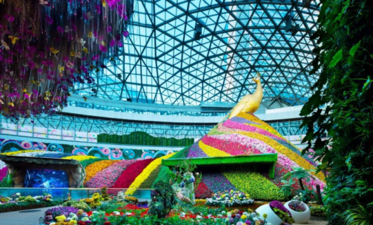 凯发·k8(中国游)官方网站