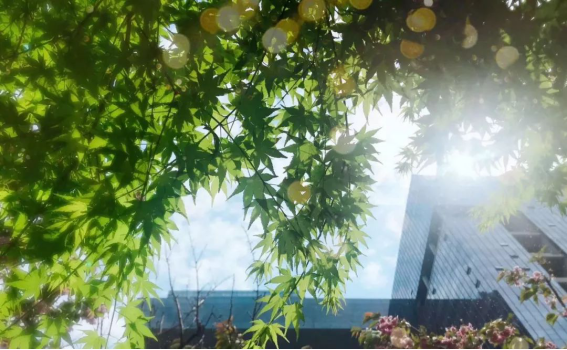 凯发·k8(中国游)官方网站